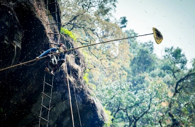 A Natural Healing Journey with Himalayan Mad Honey