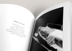 Tessa Boffin new book