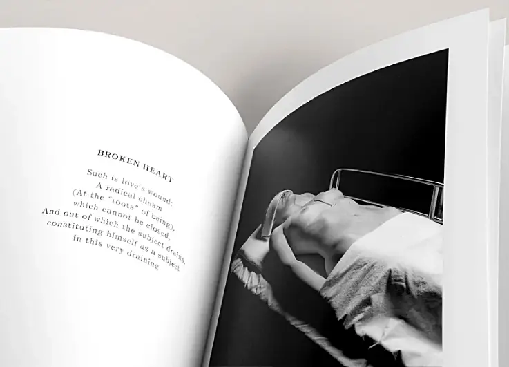 Tessa Boffin new book