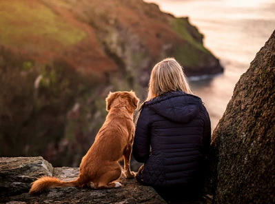 How Emotional Support Animals Improve Daily Life