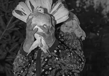 Roxana Savin ‘On Heaven’s Doorsill’ book