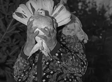 Roxana Savin ‘On Heaven’s Doorsill’ book