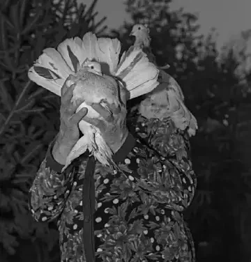 Roxana Savin ‘On Heaven’s Doorsill’ book