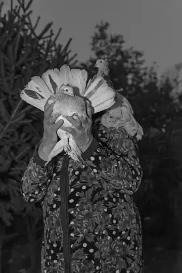 Roxana Savin ‘On Heaven’s Doorsill’ book