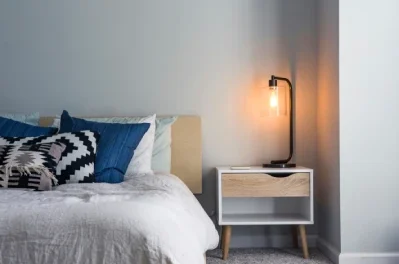 Why Bed Bugs Are So Hard to Get Rid Of (And What Actually Works)