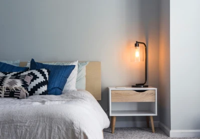 Why Bed Bugs Are So Hard to Get Rid Of (And What Actually Works)