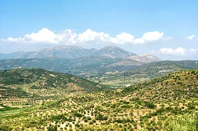 Puglia and Wine Tourism: The Pleasure of Good Taste in a Fascinating Setting