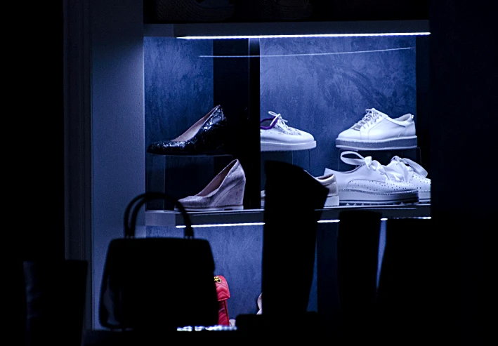 Timeless Shoes Fashion icons