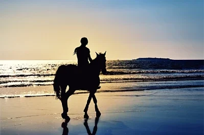 The Real Costs of Owning a Horse: Budgeting Tips for New Owners