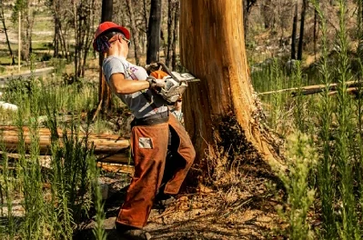 Hidden Costs of a Gas Chainsaw and How to Avoid Them