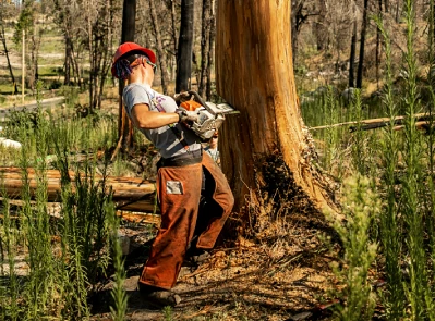 Hidden Costs of a Gas Chainsaw and How to Avoid Them