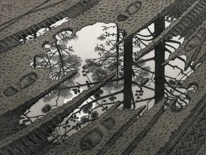 Between Order M. C. Escher