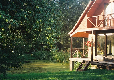 Ideas for Garden Cabin: Transforming Your Space