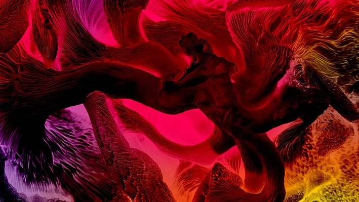 The Guardians of Living Matter lowry