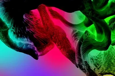 The Guardians of Living Matter – John-Paul Brown and Sophy King