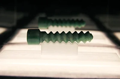 Royal Screw: Carving Shamate into History