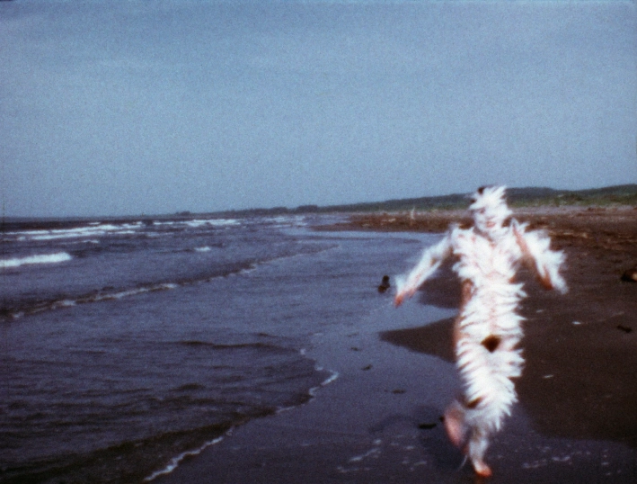 Ana Mendieta exhibition