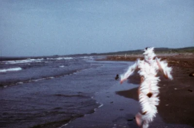 Ana Mendieta – source of life, mother nature