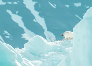 Svalbard Arctic travel