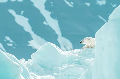 Ice Bears and Midnight Sun: Svalbard, the Arctic Adventure Everyone’s Talking About