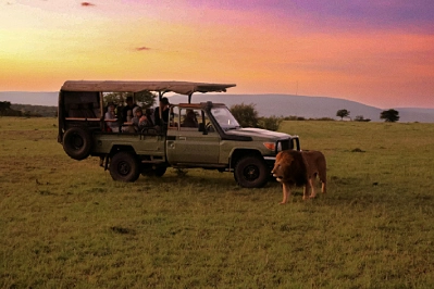 Kenya on Safari: Why East Africa’s Greatest Wildlife Destination Is Worth the Journey
