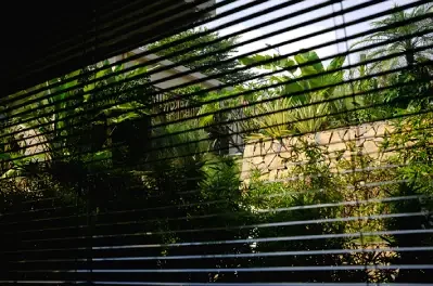 Heatwave survival tips for homes and offices without AC