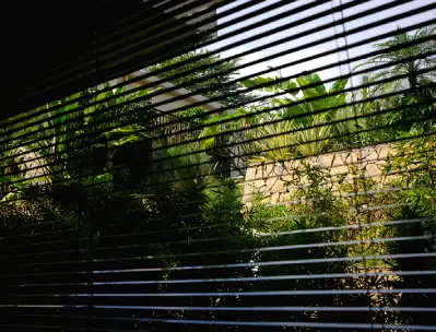 Heatwave survival tips for homes and offices without AC