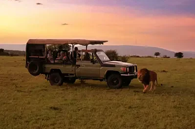 5 of the Rarest Wildlife Encounters in Africa