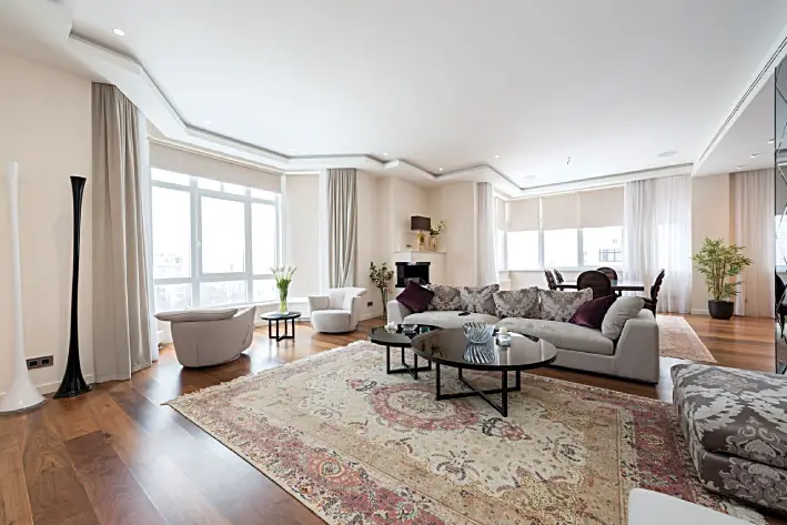 Rugs for Living Spaces